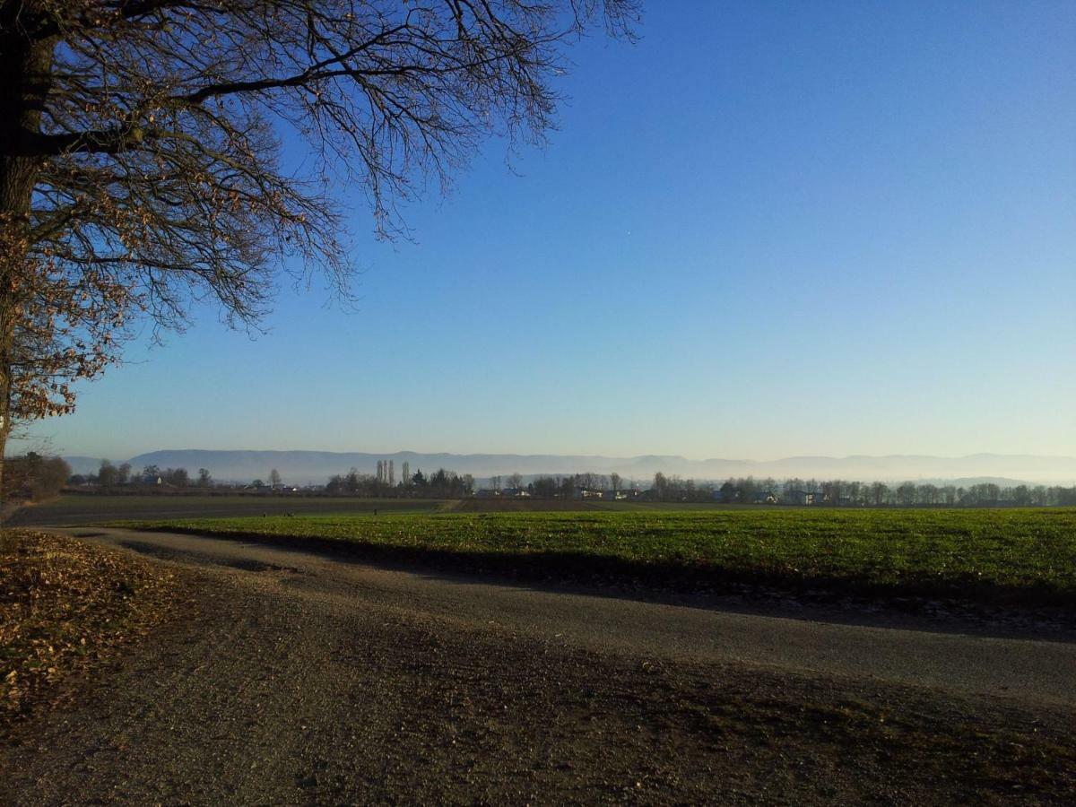 Schoenbuchjuwel Walddorf  Buitenkant foto